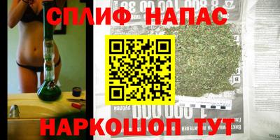 стаф Краснознаменск