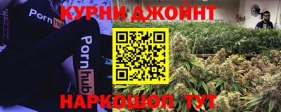 сатива Краснокаменск
