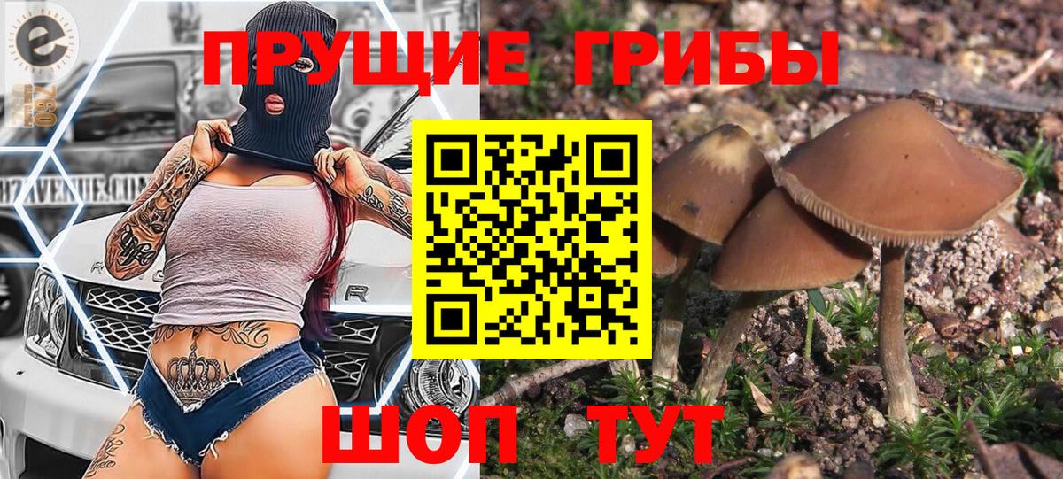 Изобильный  Галлюциногенные грибы Psilocybine cubensis  Вход с VPN  продажа наркотиков  Псилоцибиновые грибы MAGIC MUSHROOMS 