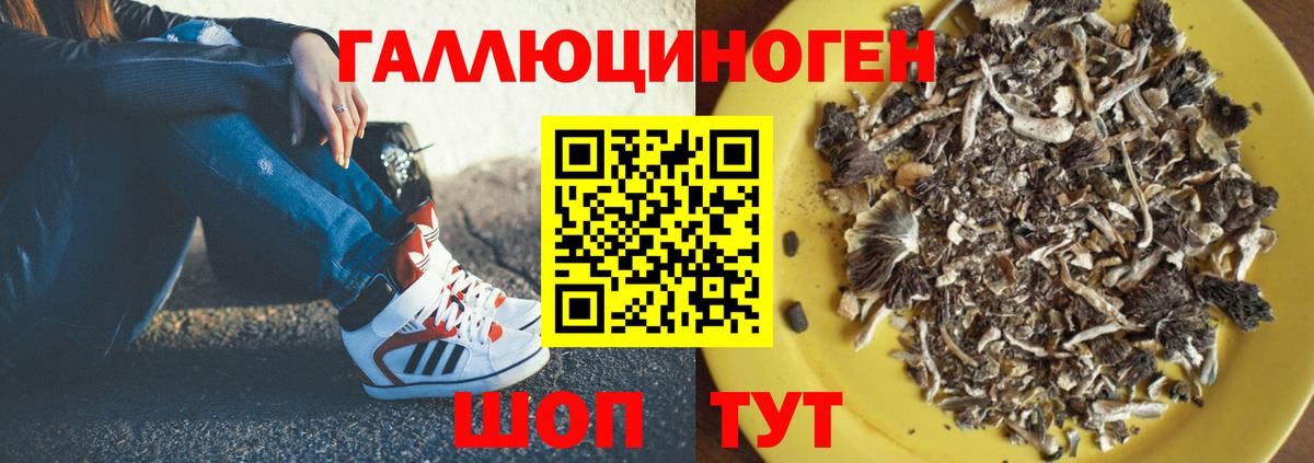 Псилоцибиновые грибы мицелий Изобильный